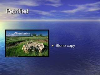 PetrifiedPetrified
• Stone copyStone copy
 