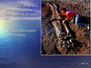• The history of life is aThe history of life is a
saga of a restlesssaga of a restless
Earth billions of yearsEarth billions of years
oldold
– Fossils documentFossils document
this historythis history
Figure 1.10
 