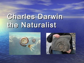 Charles DarwinCharles Darwin
the Naturalistthe Naturalist
 