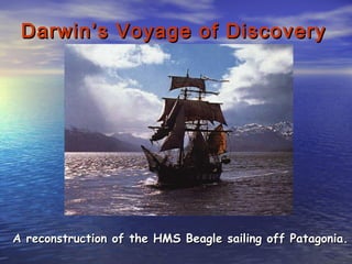 A reconstruction of the HMS Beagle sailing off Patagonia.A reconstruction of the HMS Beagle sailing off Patagonia.
Darwin’s Voyage of DiscoveryDarwin’s Voyage of Discovery
 