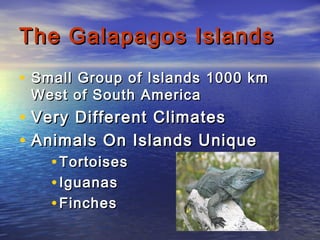 The Galapagos IslandsThe Galapagos Islands
• Small Group of Islands 1000 kmSmall Group of Islands 1000 km
West of South AmericaWest of South America
• Very Different ClimatesVery Different Climates
• Animals On Islands UniqueAnimals On Islands Unique
• TortoisesTortoises
• IguanasIguanas
• FinchesFinches
 
