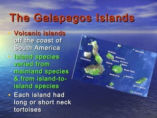 The Galapagos IslandsThe Galapagos Islands
• Volcanic islandsVolcanic islands
off the coast ofoff the coast of
South AmericaSouth America
• Island speciesIsland species
varied fromvaried from
mainland speciesmainland species
& from island-to-& from island-to-
island speciesisland species
• Each island hadEach island had
long or short necklong or short neck
tortoisestortoises
 