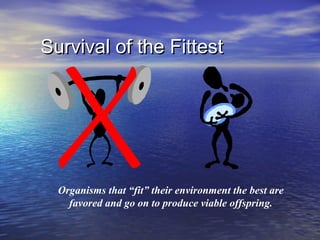 Survival of the FittestSurvival of the Fittest
Organisms that “fit” their environment the best are
favored and go on to produce viable offspring.
 