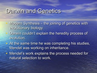 Darwin and GeneticsDarwin and Genetics
• Modern Synthesis – the joining of genetics withModern Synthesis – the joining of genetics with
evolutionary biologyevolutionary biology
• Darwin couldn’t explain the heredity process ofDarwin couldn’t explain the heredity process of
evolution.evolution.
• At the same time he was completing his studies,At the same time he was completing his studies,
Mendel was working on inheritance.Mendel was working on inheritance.
• Mendel’s work explains the process needed forMendel’s work explains the process needed for
natural selection to work.natural selection to work.
 