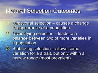 Natural Selection OutcomesNatural Selection Outcomes
1.1. Directional selection – causes a changeDirectional selection – causes a change
in appearance of a populationin appearance of a population
2.2. Diversifying selection – leads to aDiversifying selection – leads to a
balance between two of more varieties inbalance between two of more varieties in
a populationa population
3.3. Stabilizing selection – allows someStabilizing selection – allows some
variation for a a trait, but only within avariation for a a trait, but only within a
narrow range (most prevalent)narrow range (most prevalent)
 