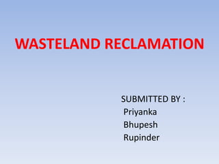 WASTELAND RECLAMATION
SUBMITTED BY :
Priyanka
Bhupesh
Rupinder
 
