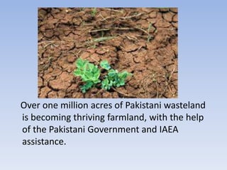 Over one million acres of Pakistani wasteland
is becoming thriving farmland, with the help
of the Pakistani Government and IAEA
assistance.
 