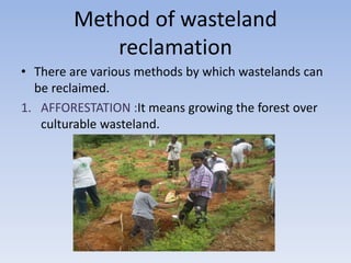 Method of wasteland
reclamation
• There are various methods by which wastelands can
be reclaimed.
1. AFFORESTATION :It means growing the forest over
culturable wasteland.
 
