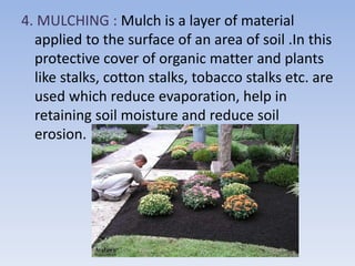 4. MULCHING : Mulch is a layer of material
applied to the surface of an area of soil .In this
protective cover of organic matter and plants
like stalks, cotton stalks, tobacco stalks etc. are
used which reduce evaporation, help in
retaining soil moisture and reduce soil
erosion.
 