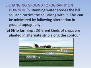 5.CHANGING GROUND TOPOGRAPHY ON
DOWNHILL’S :Running water erodes the hill
soil and carries the soil along with it. This can
be minimized by following alternation in
ground topography:
(a) Strip farming : Different kinds of crops are
planted in alternate strip along the contour.
 