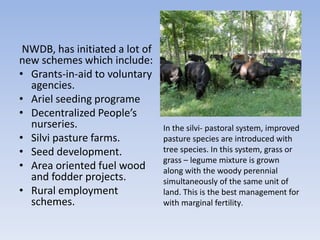 NWDB, has initiated a lot of
new schemes which include:
• Grants-in-aid to voluntary
agencies.
• Ariel seeding programe
• Decentralized People’s
nurseries.
• Silvi pasture farms.
• Seed development.
• Area oriented fuel wood
and fodder projects.
• Rural employment
schemes.
In the silvi- pastoral system, improved
pasture species are introduced with
tree species. In this system, grass or
grass – legume mixture is grown
along with the woody perennial
simultaneously of the same unit of
land. This is the best management for
with marginal fertility.
 