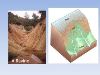A Ravine
 