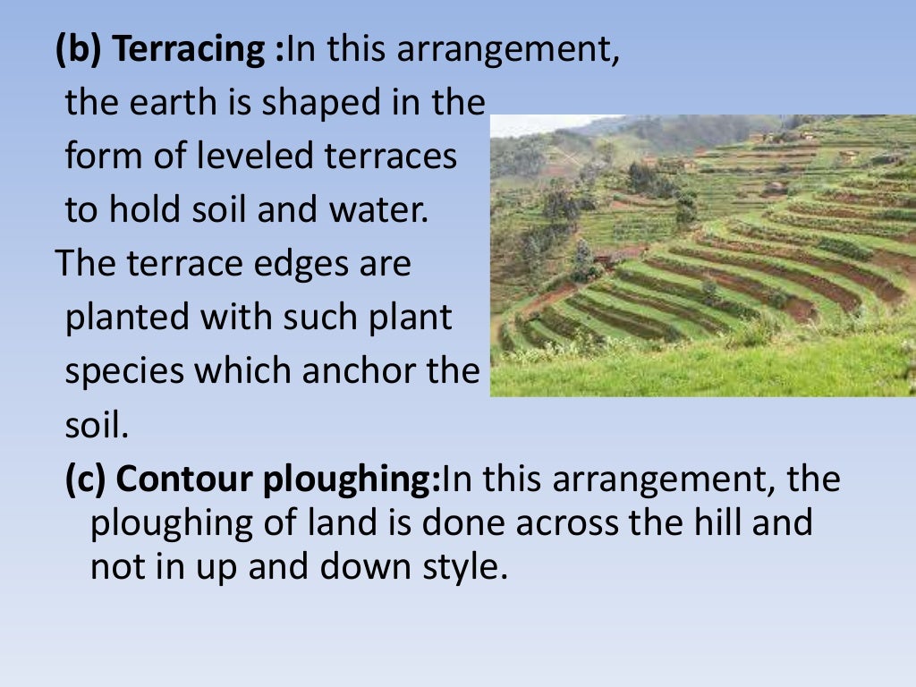 wasteland reclamation