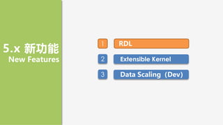 1 RDL
2 Extensible Kernel
5.x 新功能
New Features
3 Data Scaling（Dev）
 
