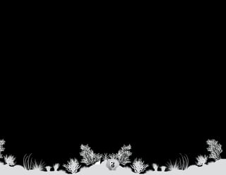 Hi, I’m Your Green Sea Turt le Friend!
The green sea turtle grows to about 1.2 metres (4 feet) long          Do not disturb turtle nests on the beach.

                                                                      Why?
and weighs between 90-140 kilograms (200-300 pounds).
Young green sea turtles feed mostly on worms, shellfish, sea


                                                                       •	 Because …
insects, algae and grass. As they approach adulthood, their diet
changes to sea grasses and algae. Although green sea turtles
do not have teeth, they use their jaws to help them crush their                                  we only have a narrow strip of sand
food. Female green sea turtles return to the same beach they                   since the beaches are crowded with people. We return
hatched on to lay their own eggs. A green sea turtle does not                  at night to nest when people are gone. If the hatchlings
have the ability to pull their head and flippers inside their shell            do not reach the ocean before the hot sun comes up



Can you hel p us?
for protection.                                                                they will die.

                                                                      Still, many of the hatchlings that do make it to the water may
                                                                      be eaten by fish and marine animals. Only one or two green
                                                                      sea turtle hatchlings live to adulthood out of 1000. Where
Please do not throw trash in the water or on                          our hatchlings go to spend their first years of life is kept as
                                                                      a mystery to protect them. However, you will see our little
the beach.

Why?
                                                                      hatchlings again when they have reached about seven years
                                                                      old, feeding offshore in turtle grass beds.



 •	 Because …
                                                                      How Blue Planet Legacy Hero Kids can help
                          we become entangled by marine               the green sea turtles:
        debris or choke to death on trash that we mistake for             •   Adopt a green sea turtle from the Clearwater


   •	 Because … we travel over 1600 kilometres
        food.
                                                                              Marine Aquarium (www.cmaquarium.org)!
                                                                          •   Tell all your friends and family that green sea turtles
                                                                              are an important part of our environment and should
        (1000 miles) to the beaches we were born on to
                                                                              be protected.
        lay our eggs.
                                                                          •   Get together with your friends and participate in a
                                                                              beach clean up.
                                                                          •   Do a presentation on turtles for class to raise

                                                                      8
                                                                              awareness.
 