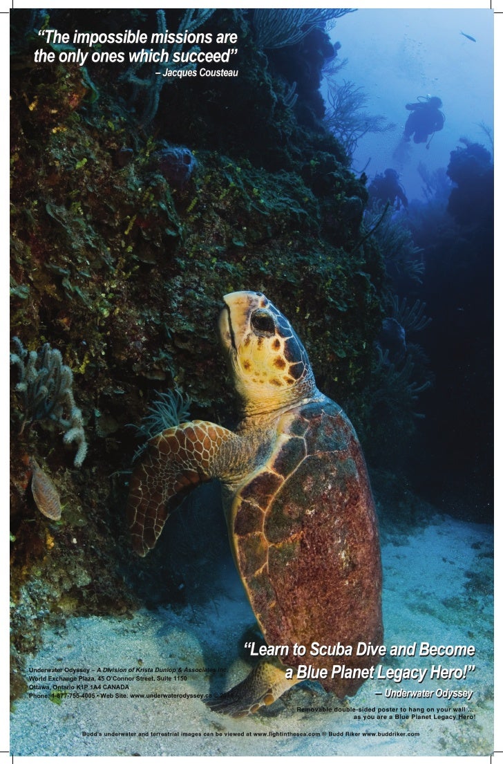 Living Oceans Foundation sponsors the Science without Borders Challenge an international student art competition promoting marine science and conservation Florida Keys Treasures