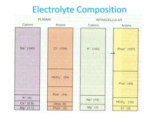 Electrolyte Composition
 