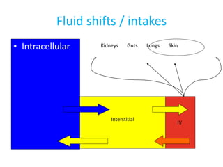 Fluid shifts / intakes
• Intracellular Kidneys Guts Lungs Skin
Interstitial
IV
 