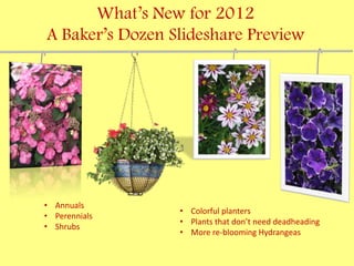What’s New for 2012
A Baker’s Dozen Slideshare Preview




• Annuals
                 • Colorful planters
• Perennials
                 • Plants that don’t need deadheading
• Shrubs
                 • More re-blooming Hydrangeas
 