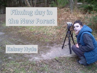 New forest filming