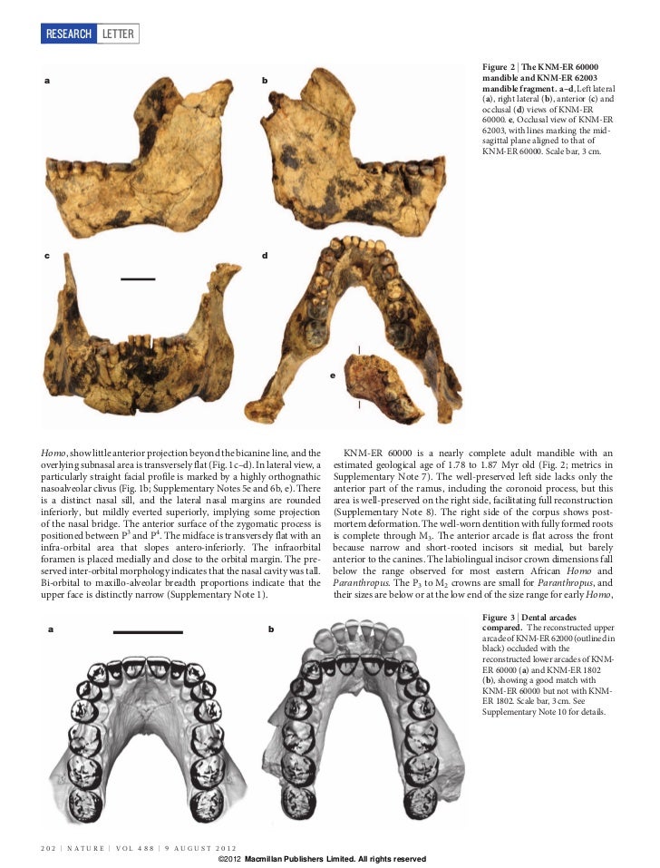 New fossils from koobi fora in northern kenya confirm taxonomic diver…