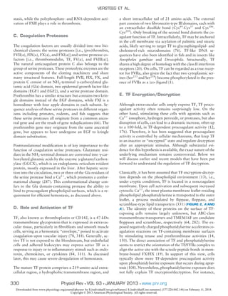 stasis, while the polyphosphate- and RNA-dependent acti-
vation of FXII plays a role in thrombosis.
C. Coagulation Proteases
The coagulation factors are usually divided into two bio-
chemical classes: the serine proteases [i.e., (pro)thrombin,
FVII(a), FIX(a), FX(a), and FXI(a)] and serine protease co-
factors [i.e., thrombomodulin, TF, FV(a), and FVIII(a)].
The natural anticoagulant protein C also belongs to the
group of serine proteases. These proteolytic enzymes are the
active components of the clotting machinery and share
many structural features. Full-length FVII, FIX, FX, and
protein C consist of an NH2-terminal ␥-carboxylated glu-
tamic acid (Gla) domain, two epidermal growth factor-like
domains (EGF1 and EGF2), and a serine protease domain.
Prothrombin has a similar structure but contains two krin-
gle domains instead of the EGF domains, while FXI is a
homodimer with four apple domains in each subunit. Se-
quence analysis of these serine proteases in different organ-
isms including primates, rodents, and ﬁsh suggests that
these serine proteases all originate from a common ances-
tral gene and are the result of gene reduplications (66). The
prothrombin gene may originate from the same ancestral
gene, but appears to have undergone an EGF to kringle
domain substitution.
Posttranslational modiﬁcation is of key importance to the
function of coagulation serine proteases. Glutamate resi-
dues in the NH2-terminal domain are converted into ␥-car-
boxylated glutamic acids by the enzyme ␥-glutamyl carbox-
ylase (GGCX), which is an endoplasmic reticulum resident
protein, mostly expressed in the liver. After hepatic secre-
tion into the circulation, two or three of the Gla residues of
the serine protease bind a Ca2ϩ
, which promotes a confor-
mational change (287). This conformational change con-
fers to the Gla domain-containing protease the ability to
bind to procoagulant phospholipid surfaces, which is a re-
quirement for efﬁcient hemostasis, as discussed above.
D. Role and Activation of TF
TF, also known as thromboplastin or CD142, is a 47-kDa
transmembrane glycoprotein that is expressed in extravas-
cular tissue, particularly in ﬁbroblasts and smooth muscle
cells, serving as a hemostatic “envelope,” poised to activate
coagulation upon vascular injury (78, 318). Generally, ac-
tive TF is not exposed to the bloodstream, but endothelial
cells and adhered leukocytes may express active TF as a
response to injury or to inﬂammatory stimuli such as endo-
toxin, chemokines, or cytokines (84, 311). As discussed
later, this may cause severe deregulation of hemostasis.
The mature TF protein comprises a 219-amino acid extra-
cellular region, a hydrophobic transmembrane region, and
a short intracellular tail of 21 amino acids. The external
part consists of two ﬁbronectin-type III domains, each with
an extracellular disulﬁde bond (Cys49
-Cys57
and Cys186
-
Cys209
). Only breaking of the second bond distorts the co-
agulant function of TF. Intracellularly, TF may be anchored
in the cell membrane via acylation of palmitic and stearic
acids, likely serving to target TF to glycosphingolipid- and
cholesterol-rich microdomains (76). TF-like DNA se-
quences have also been identiﬁed in ﬁsh and in insects like
Anopheles gambiae and Drosophila. Structurally, TF
shares a high degree of homology with the class II interferon
receptors (20). On cells, TF can be regarded as a true recep-
tor for FVIIa, also given the fact that two cytoplasmic ser-
ines (Ser253
and Ser258
) become phosphorylated in the pres-
ence of FVIIa as a (co-)ligand (1).
E. TF Encryption/Decryption
Although extravascular cells amply express TF, TF proco-
agulant activity often remains surprisingly low. On the
other hand, stimulating these cells with agonists such as
Ca2ϩ
ionophore, hydrogen peroxide, or proteases, but also
disruption of cells, can lead to a dramatic increase, often up
to a 100-fold, in TF-dependent procoagulant activity (12,
176). Therefore, it has been suggested that procoagulant
activity is controlled by cellular mechanisms, that keep TF
in an inactive or “encrypted” state and regulate decryption
after an appropriate stimulus. Although substantial evi-
dence for this hypothesis is available, the exact nature of the
underlying mechanism remains controversial. Below we
will discuss earlier and recent models that have been put
forward to understand the regulation of TF decryption.
Classically, it has been assumed that TF encryption-decryp-
tion depends on the phospholipid environment (13), i.e.,
under cryptic conditions, TF is located in a noncoagulant
membrane. Upon cell activation and subsequent increased
cytosolic Ca2ϩ
, the inner plasma membrane leaﬂet-residing
phospholipid phosphatidylserine is transported to the outer
leaﬂet, a process modulated by ﬂippase, ﬂoppase, and
scramblase-type lipid transporters (331) (FIGURE 2, A AND
A=). The identity of these proteins on the surface of TF-
exposing cells remains largely unknown, but ABC-class
transmembrane transporters and TMEM16F are candidate
ﬂoppases and scramblase, respectively (64, 282). The ex-
posed negatively charged phosphatidylserine accelerates co-
agulation reactions on TF-containing membrane surfaces
by stimulating tenase and prothrombinase activities (14,
150). The direct association of TF and phosphatidylserine
seems to restrict the orientation of the TF/FVIIa complex to
align the active site with the scissile peptide bonds in mem-
brane-bound FX/FIX (19). In support of this view, cells
typically show more TF-dependent procoagulant activity
upon phosphatidylserine exposure that occurs during apop-
tosis (108). Nevertheless, phosphatidylserine exposure does
not fully explain TF encryption/decryption. For instance,
VERSTEEG ET AL.
330 Physiol Rev • VOL 93 • JANUARY 2013 • www.prv.org
Downloaded from www.physiology.org/journal/physrev by ${individualUser.givenNames} ${individualUser.surname} (177.228.042.146) on February 11, 2018.
Copyright © 2013 American Physiological Society. All rights reserved.
 