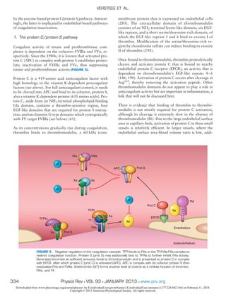 by the enzyme-based protein C/protein S pathway. Interest-
ingly, the latter is implicated in endothelial-based pathways
of coagulation inactivation.
1. The protein C/protein S pathway
Coagulant activity of tenase and prothrombinase com-
plexes is dependent on the cofactors FVIIIa and FVa, re-
spectively. Since the 1980s, it is known that activated pro-
tein C (APC) in complex with protein S establishes proteo-
lytic inactivation of FVIIIa and FVa, thus suppressing
tenase and prothrombinase actions (FIGURE 3).
Protein C is a 419-amino acid anticoagulant factor with
high homology to the vitamin K-dependent procoagulant
factors (see above). For full anticoagulant control, it needs
to be cleaved into APC and bind to its cofactor, protein S,
also a vitamin K-dependent protein (635 amino acids). Pro-
tein C, aside from an NH2-terminal phospholipid-binding
Gla domain, contains a thrombin-sensitive region, four
EGF-like domains that are required for protein S interac-
tion, and two laminin G-type domains which synergistically
with FV target FVIIIa (see below) (61).
As its concentrations gradually rise during coagulation,
thrombin binds to thrombomodulin, a 60-kDa trans-
membrane protein that is expressed on endothelial cells
(283). The extracellular domain of thrombomodulin
consists of an NH2-terminal lectin-like domain, six EGF-
like repeats, and a short serine/threonine-rich domain, of
which the EGF-like repeats 5 and 6 bind to exosite I of
thrombin. Modiﬁcation of the serine/threonine-rich re-
gion by chondroitin sulfate can induce binding to exosite
II of thrombin (298).
Once bound to thrombomodulin, thrombin proteolytically
cleaves and activates protein C that is bound to nearby
endothelial protein C receptor (EPCR), an activity that is
dependent on thrombomodulin’s EGF-like repeats 4–6
(146, 190). Activation of protein C occurs after cleavage at
Arg169
, thereby removing the activation peptide. Other
thrombomodulin domains do not appear to play a role in
anticoagulant activity but are important in inﬂammation, a
link that will not be discussed here.
There is evidence that binding of thrombin to thrombo-
modulin is not strictly required for protein C activation,
although its cleavage is extremely slow in the absence of
thrombomodulin (86). Due to the large endothelial surface
area in capillary beds, activation of protein C in these small
vessels is relatively efﬁcient. In larger vessels, where the
endothelial surface area-blood volume ratio is low, addi-
Subendothelium
Endothelium
Xa
Xa
Xa Va
Prot S
TFPI
APC
Prot C
TM
EPCR
TFPITFPI
Xa
T
X
TFPI
IIa
IXa VIIIa
AT
AT
AT
Prot S
IIa
TFPIα
FIGURE 3. Negative regulation of the coagulation cascade. TFPI binds to FXa or the TF-FVIIa-FXa complex to
restrict coagulation function. Protein S (prot S) may additionally bind to TFPIa to further inhibit FXa activity.
Generated thrombin at sufﬁcient amounts binds to thrombomodulin and is presented to protein C in complex
with EPCR, after which protein C (prot C) is activated (APC). APC in complex with its cofactor protein S then
inactivates FVa and FVIIIa. Antithrombin (AT) forms another level of control as it inhibits function of thrombin,
FIXa, and FX.
VERSTEEG ET AL.
334 Physiol Rev • VOL 93 • JANUARY 2013 • www.prv.org
Downloaded from www.physiology.org/journal/physrev by ${individualUser.givenNames} ${individualUser.surname} (177.228.042.146) on February 11, 2018.
Copyright © 2013 American Physiological Society. All rights reserved.
 