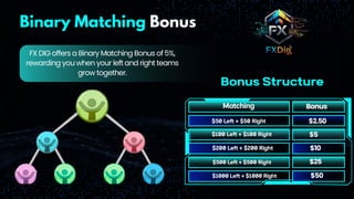 FXDIG.COM SOCIAL Online Earning Platform