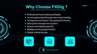 FXDIG.COM SOCIAL Online Earning Platform