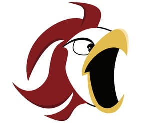 New Gamecock logo