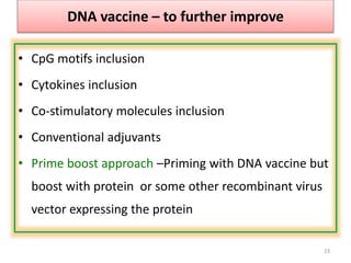 23
DNA vaccine – to further improve
• CpG motifs inclusion
• Cytokines inclusion
• Co-stimulatory molecules inclusion
• Conventional adjuvants
• Prime boost approach –Priming with DNA vaccine but
boost with protein or some other recombinant virus
vector expressing the protein
 