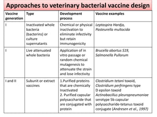 Approaches to veterinary bacterial vaccine design
Vaccine
generation
Type Development
process
Vaccine examples
I Inactivated whole
bacteria
(bacterins) or
culture
supernatants
Chemical or physical
inactivation to
eliminate infectivity
but retain
immunogenicity
Leptospira Hardjo,
Pasteurella multocida
I Live attenuated
whole bacteria
Application of in
vitro passage or
random chemical
mutagenesis to
attenuate the strain
and lose infectivity
Brucella abortus S19,
Salmonella Pullorum
I and II Subunit or extract
vaccines
1.Purified proteins
that are chemically
Inactivated
2. Purified capsular
polysaccharide that
are conjugated with
protein
Clostridium tetani toxoid,
Clostridium perfringens type
D epsilon toxoid
Actinobacillus pleuropneumoniae
serotype 5b capsular
polysaccharide-tetanus toxoid
conjugate (Andresen et al., 1997)
 