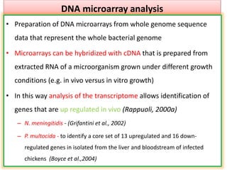 DNA microarray analysis
• Preparation of DNA microarrays from whole genome sequence
data that represent the whole bacterial genome
• Microarrays can be hybridized with cDNA that is prepared from
extracted RNA of a microorganism grown under different growth
conditions (e.g. in vivo versus in vitro growth)
• In this way analysis of the transcriptome allows identification of
genes that are up regulated in vivo (Rappuoli, 2000a)
– N. meningitidis - (Grifantini et al., 2002)
– P. multocida - to identify a core set of 13 upregulated and 16 down-
regulated genes in isolated from the liver and bloodstream of infected
chickens (Boyce et al.,2004)
 