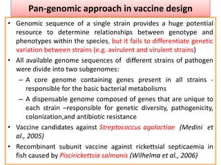 Pan-genomic approach in vaccine design
• Genomic sequence of a single strain provides a huge potential
resource to determine relationships between genotype and
phenotypes within the species, but it fails to differentiate genetic
variation between strains (e.g. avirulent and virulent strains)
• All available genome sequences of different strains of pathogen
were divide into two subgenomes:
– A core genome containing genes present in all strains -
responsible for the basic bacterial metabolisms
– A dispensable genome composed of genes that are unique to
each strain –responsible for genetic diversity, pathogenicity,
colonization,and antibiotic resistance
• Vaccine candidates against Streptococcus agalactiae (Medini et
al., 2005)
• Recombinant subunit vaccine against rickettsial septicaemia in
fish caused by Piscirickettsia salmonis (Wilhelma et al., 2006)
 