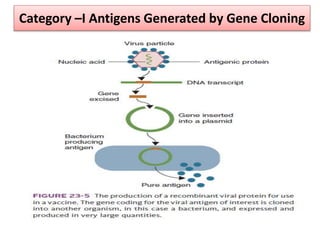 Category –I Antigens Generated by Gene Cloning
 