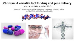 Chitosan: A versatile tool for drug and gene delivery
MSc. Antonio Di Martino, Ph.D.
Centre of Polymer Systems, University Institute Tomas Bata University in Zlin,
tr.T.Bati 5678,76001,Zlin,Czech Republic
 