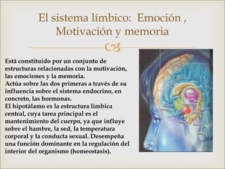 
El sistema límbico: Emoción ,
Motivación y memoria
Está constituido por un conjunto de
estructuras relacionadas con la motivación,
las emociones y la memoria.
Actúa sobre las dos primeras a través de su
influencia sobre el sistema endocrino, en
concreto, las hormonas.
El hipotálamo es la estructura límbica
central, cuya tarea principal es el
mantenimiento del cuerpo, ya que influye
sobre el hambre, la sed, la temperatura
corporal y la conducta sexual. Desempeña
una función dominante en la regulación del
interior del organismo (homeostasis).
 
