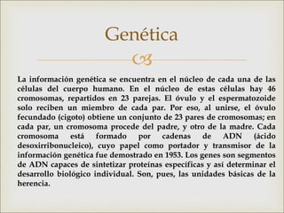 
Genética
La información genética se encuentra en el núcleo de cada una de las
células del cuerpo humano. En el núcleo de estas células hay 46
cromosomas, repartidos en 23 parejas. El óvulo y el espermatozoide
solo reciben un miembro de cada par. Por eso, al unirse, el óvulo
fecundado (cigoto) obtiene un conjunto de 23 pares de cromosomas; en
cada par, un cromosoma procede del padre, y otro de la madre. Cada
cromosoma está formado por cadenas de ADN (ácido
desoxirribonucleico), cuyo papel como portador y transmisor de la
información genética fue demostrado en 1953. Los genes son segmentos
de ADN capaces de sintetizar proteínas específicas y así determinar el
desarrollo biológico individual. Son, pues, las unidades básicas de la
herencia.
 