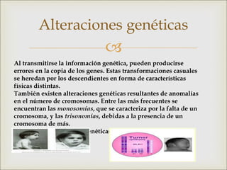 
Alteraciones genéticas
Al transmitirse la información genética, pueden producirse
errores en la copia de los genes. Estas transformaciones casuales
se heredan por los descendientes en forma de características
físicas distintas.
También existen alteraciones genéticas resultantes de anomalías
en el número de cromosomas. Entre las más frecuentes se
encuentran las monosomías, que se caracteriza por la falta de un
cromosoma, y las trisonomías, debidas a la presencia de un
cromosoma de más.
A veces, las alteraciones genéticas se producen por agentes
externos.
 