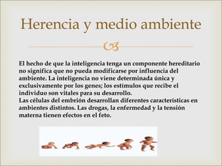 
Herencia y medio ambiente
El hecho de que la inteligencia tenga un componente hereditario
no significa que no pueda modificarse por influencia del
ambiente. La inteligencia no viene determinada única y
exclusivamente por los genes; los estímulos que recibe el
individuo son vitales para su desarrollo.
Las células del embrión desarrollan diferentes características en
ambientes distintos. Las drogas, la enfermedad y la tensión
materna tienen efectos en el feto.
 