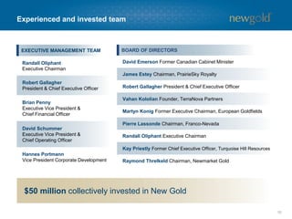10
Experienced and invested team
BOARD OF DIRECTORS
David Emerson Former Canadian Cabinet Minister
James Estey Chairman, PrairieSky Royalty
Robert Gallagher President & Chief Executive Officer
Vahan Kololian Founder, TerraNova Partners
Martyn Konig Former Executive Chairman, European Goldfields
Pierre Lassonde Chairman, Franco-Nevada
Randall Oliphant Executive Chairman
Kay Priestly Former Chief Executive Officer, Turquoise Hill Resources
Raymond Threlkeld Chairman, Newmarket Gold
EXECUTIVE MANAGEMENT TEAM
Randall Oliphant
Executive Chairman
Robert Gallagher
President & Chief Executive Officer
Brian Penny
Executive Vice President &
Chief Financial Officer
David Schummer
Executive Vice President &
Chief Operating Officer
Hannes Portmann
Vice President Corporate Development
$50 million collectively invested in New Gold
 