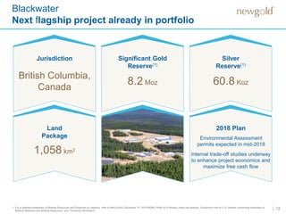 Blackwater
Next flagship project already in portfolio
12
Jurisdiction Significant Gold
Reserve(1)
8.2 Moz
Silver
Reserve(1)
60.8 Koz
Land
Package
1,058 km2
Environmental Assessment
permits expected in mid-2018
1. For a detailed breakdown of Mineral Resources and Reserves by category, refer to New Gold’s December 31, 2016 MD&A. Refer to Endnotes under the heading “Cautionary note to U.S. readers concerning estimates of
Mineral Reserves and Mineral Resources” and “Technical Information”.
British Columbia,
Canada
Internal trade-off studies underway
to enhance project economics and
maximize free cash flow
2018 Plan
 