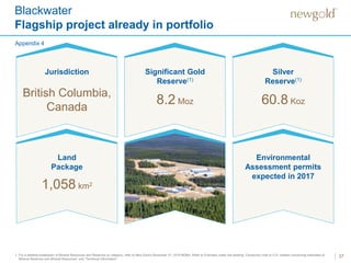 Blackwater
Flagship project already in portfolio
37
Jurisdiction Significant Gold
Reserve(1)
8.2 Moz
Silver
Reserve(1)
60.8 Koz
Land
Package
1,058 km2
Environmental
Assessment permits
expected in 2017
1. For a detailed breakdown of Mineral Resources and Reserves by category, refer to New Gold’s December 31, 2016 MD&A. Refer to Endnotes under the heading “Cautionary note to U.S. readers concerning estimates of
Mineral Reserves and Mineral Resources” and “Technical Information”.
British Columbia,
Canada
Appendix 4
 