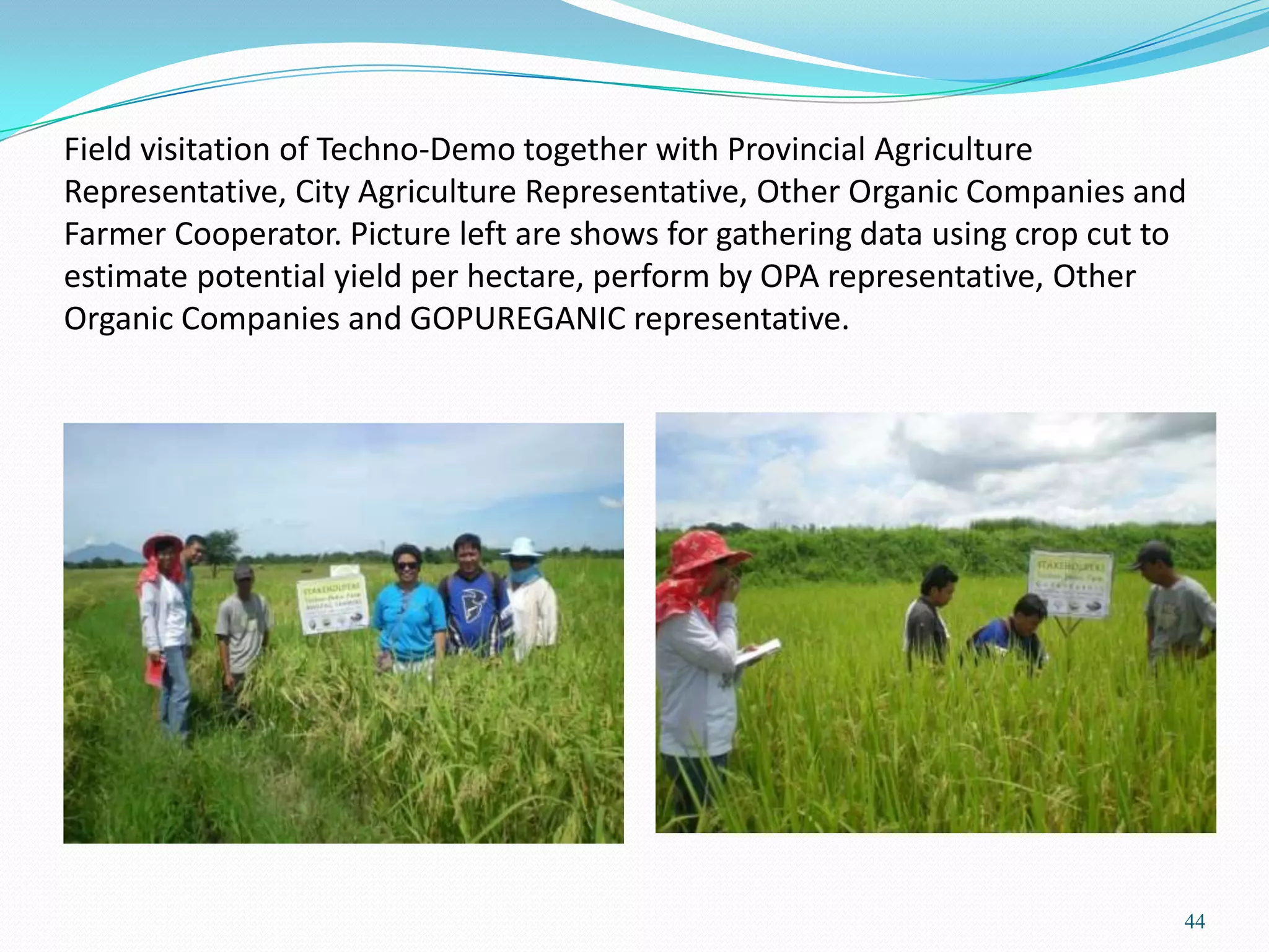 Field visitation of Techno-Demo together with Provincial Agriculture
Representative, City Agriculture Representative, Other Organic Companies and
Farmer Cooperator. Picture left are shows for gathering data using crop cut to
estimate potential yield per hectare, perform by OPA representative, Other
Organic Companies and GOPUREGANIC representative.
44
 
