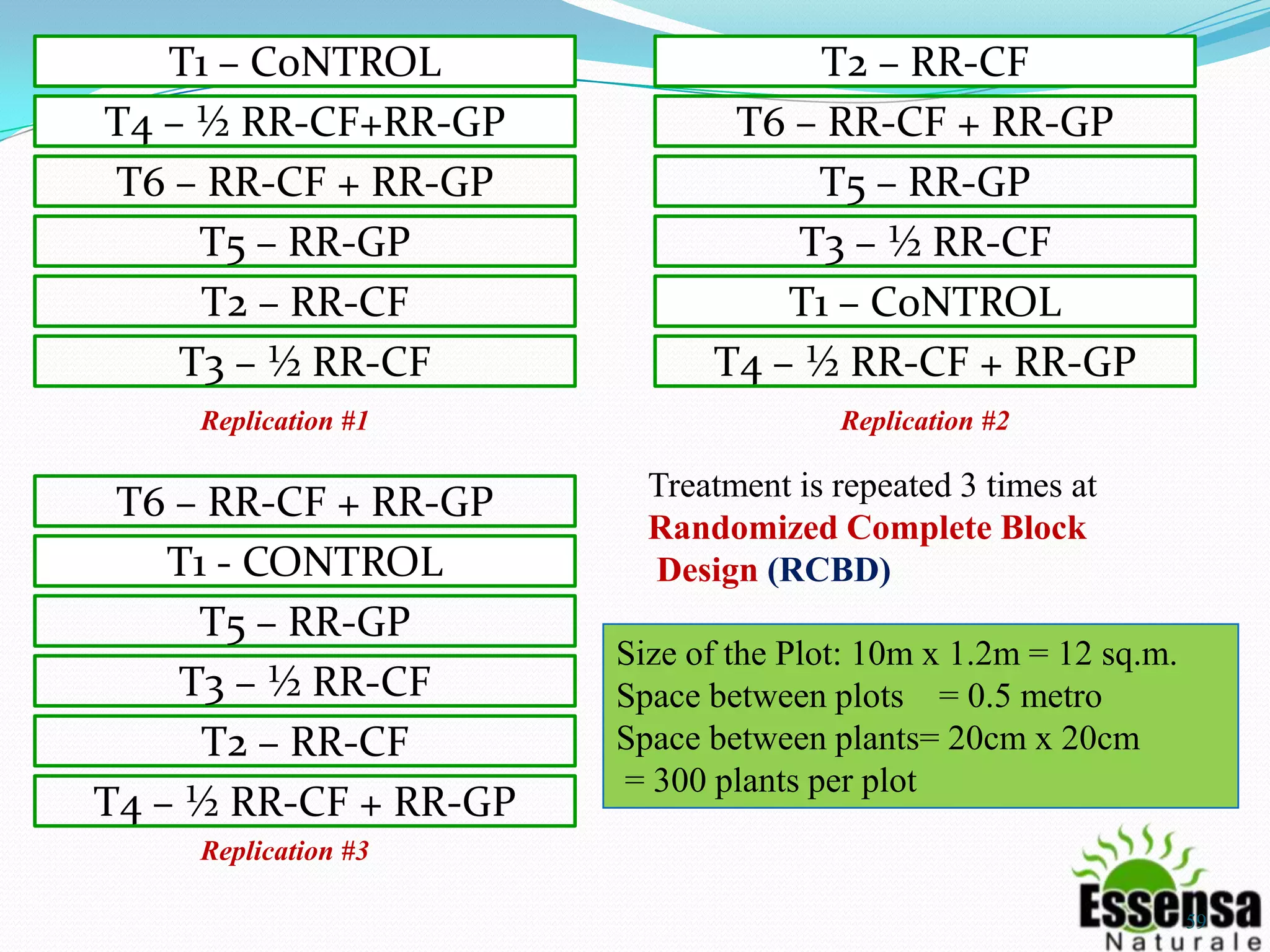 T1 – C0NTROL
T4 – ½ RR-CF+RR-GP
T6 – RR-CF + RR-GP
T5 – RR-GP
T2 – RR-CF
T3 – ½ RR-CF
T2 – RR-CF
T6 – RR-CF + RR-GP
T5 – RR-GP
T3 – ½ RR-CF
T1 – C0NTROL
T4 – ½ RR-CF + RR-GP
T6 – RR-CF + RR-GP
T1 - CONTROL
T5 – RR-GP
T3 – ½ RR-CF
T2 – RR-CF
T4 – ½ RR-CF + RR-GP
Replication #1 Replication #2
Replication #3
Treatment is repeated 3 times at
Randomized Complete Block
Design (RCBD)
Size of the Plot: 10m x 1.2m = 12 sq.m.
Space between plots = 0.5 metro
Space between plants= 20cm x 20cm
= 300 plants per plot
59
 