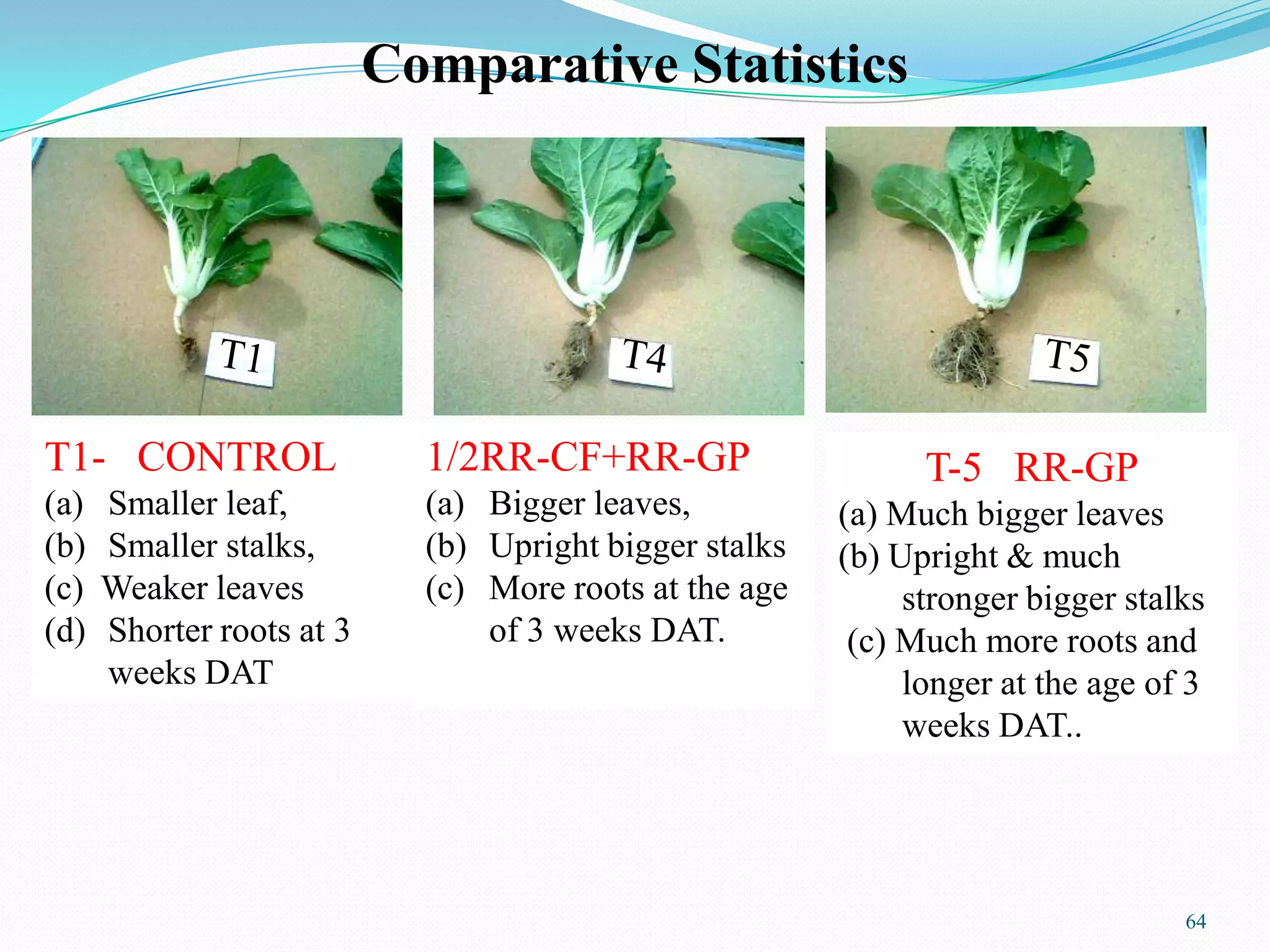 1/2RR-CF+RR-GP
(a) Bigger leaves,
(b) Upright bigger stalks
(c) More roots at the age
of 3 weeks DAT.
T1- CONTROL
(a) Smaller leaf,
(b) Smaller stalks,
(c) Weaker leaves
(d) Shorter roots at 3
weeks DAT
T-5 RR-GP
(a) Much bigger leaves
(b) Upright & much
stronger bigger stalks
(c) Much more roots and
longer at the age of 3
weeks DAT..
Comparative Statistics
64
 