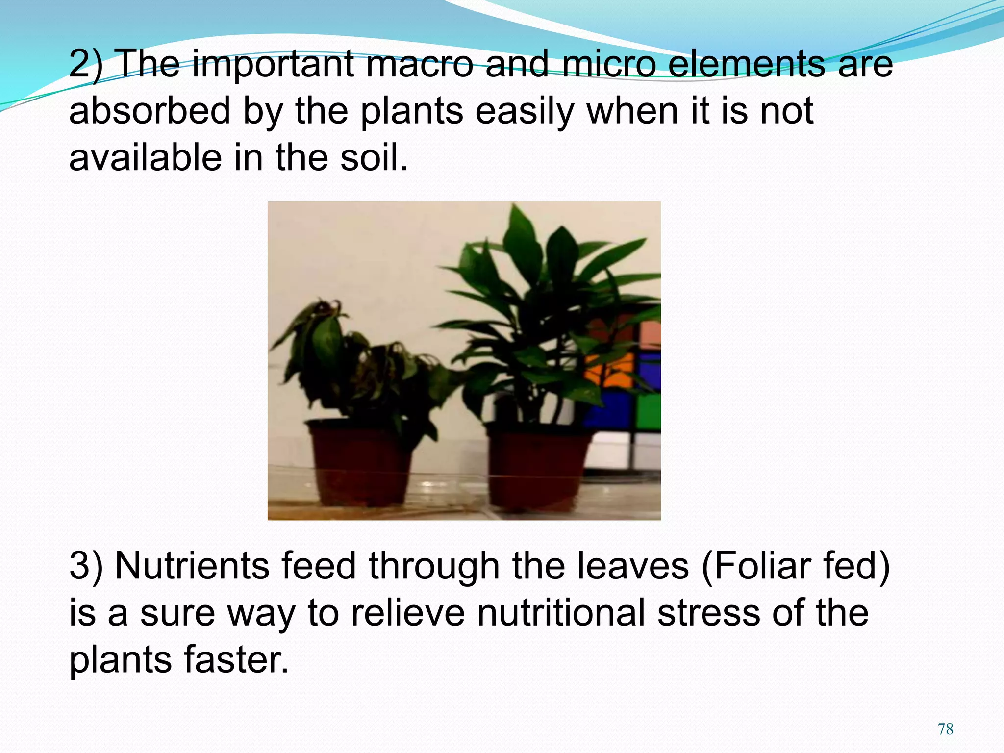 3) Nutrients feed through the leaves (Foliar fed)
is a sure way to relieve nutritional stress of the
plants faster.
2) The important macro and micro elements are
absorbed by the plants easily when it is not
available in the soil.
78
 