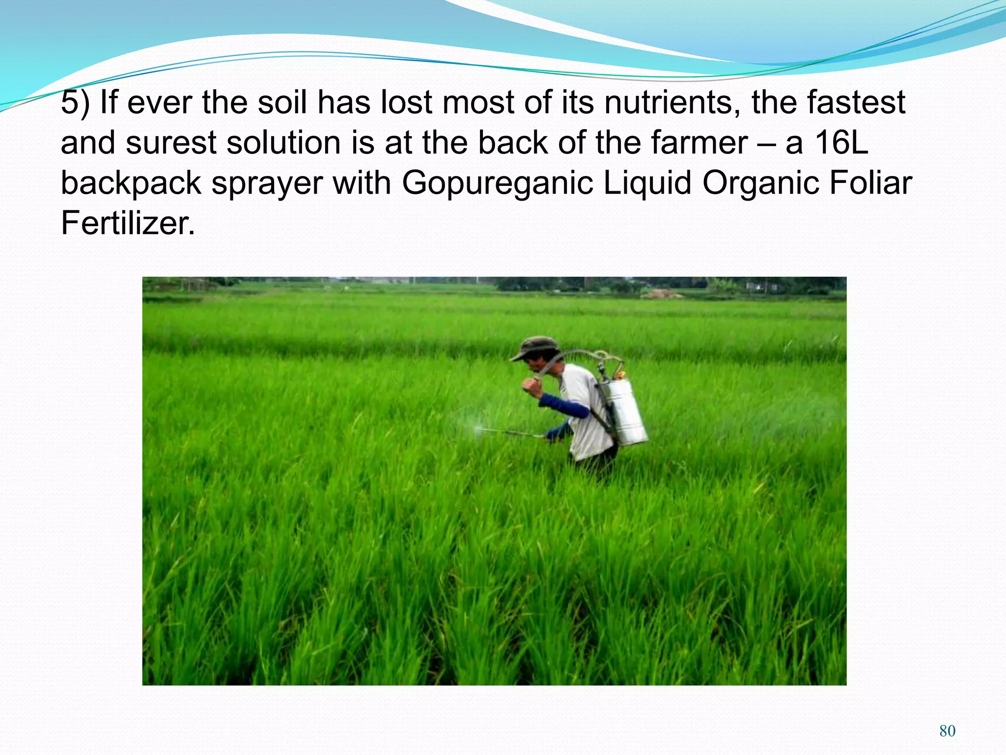 5) If ever the soil has lost most of its nutrients, the fastest
and surest solution is at the back of the farmer – a 16L
backpack sprayer with Gopureganic Liquid Organic Foliar
Fertilizer.
80
 