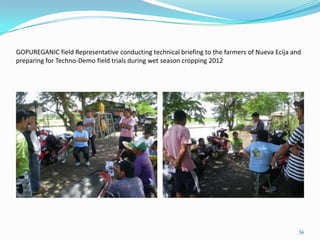 GOPUREGANIC field Representative conducting technical briefing to the farmers of Nueva Ecija and
preparing for Techno-Demo field trials during wet season cropping 2012
36
 