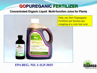 GOPUREGANIC FERTILIZER
Concentrated Organic Liquid Multi-function Juice for Plants
FPA REG. NO. 1-1LP-3015
Only one liter Gopurganic
Fertilizer per hectare per
cropping at a very low cost
 